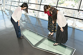 See-Through Floor