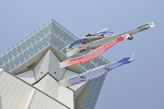 Large koi-nobori windsocks are set up at the Goryokaku Tower.