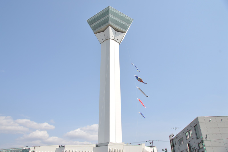 Large koi-nobori windsocks are set up at the Goryokaku Tower.🎏