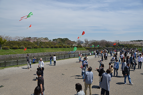 Hakodate Children’s Day: Parents & Kids Kite Making and Kite Flying Festival