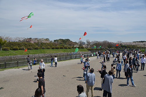 はこだて子供の日　親子凧作り・凧あげ大会