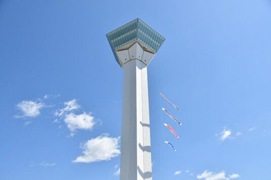 Large koi-nobori windsocks are set up at the Goryokaku Tower🎏