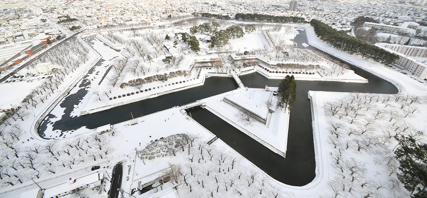 展望台から見た、特別史跡「五稜郭」