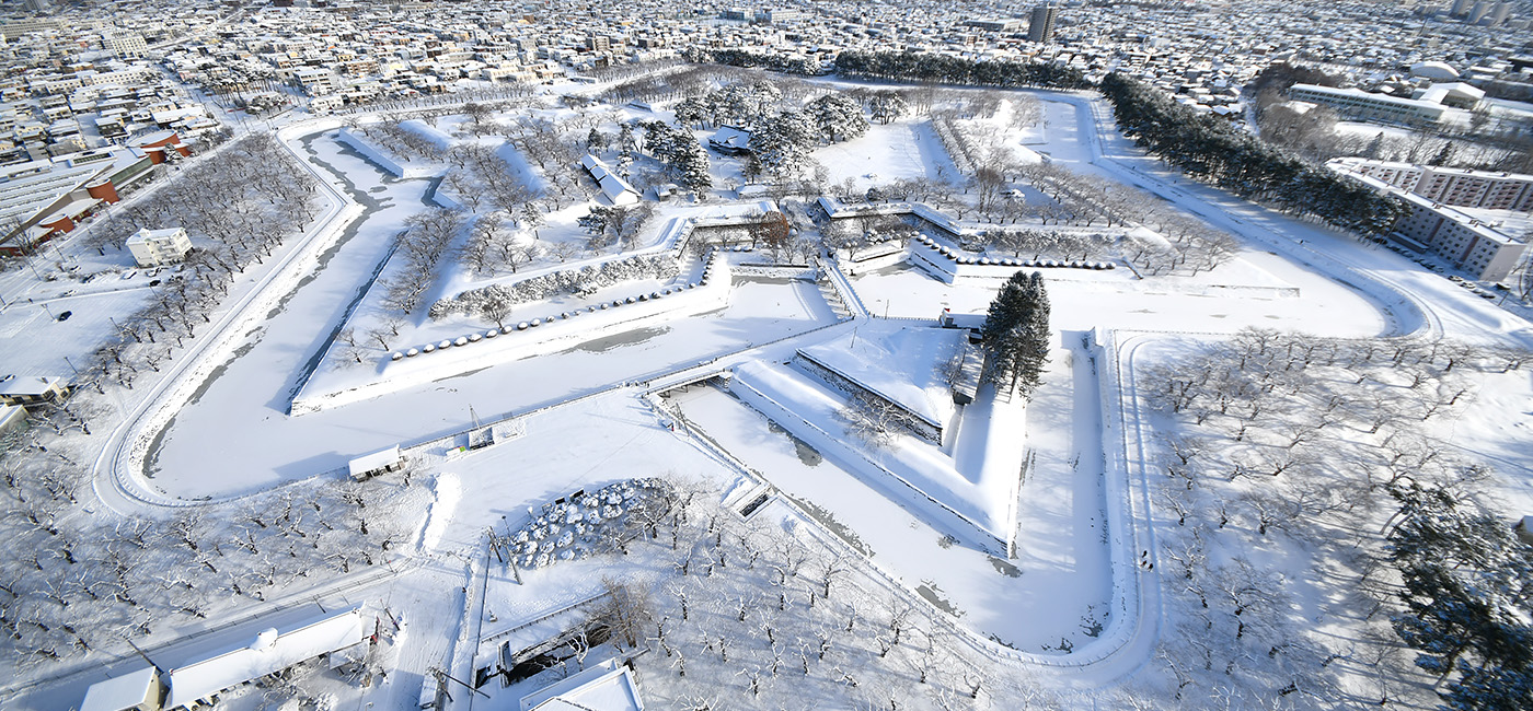 展望台から見た、雪の特別史跡「五稜郭」