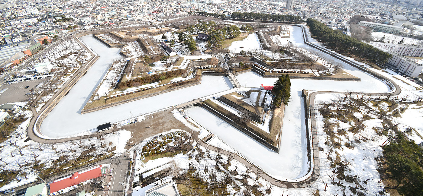 展望台から見た、特別史跡「五稜郭」