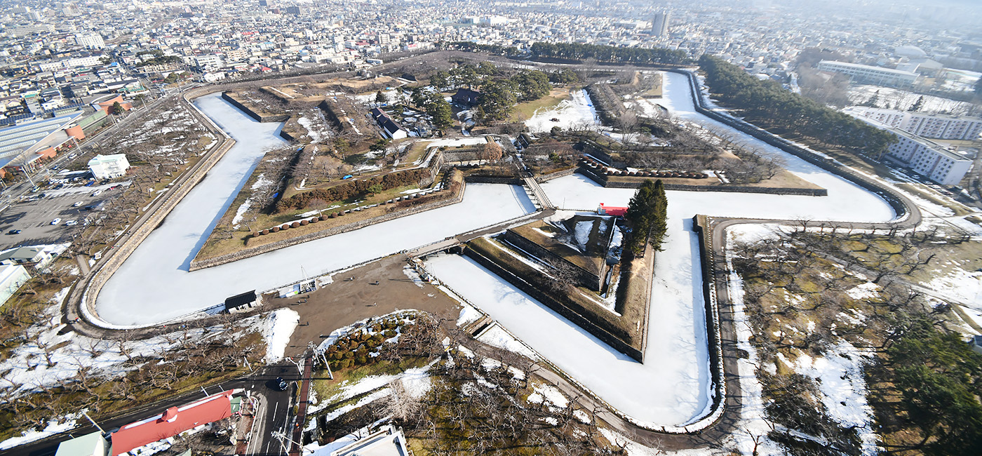展望台から見た、特別史跡「五稜郭」