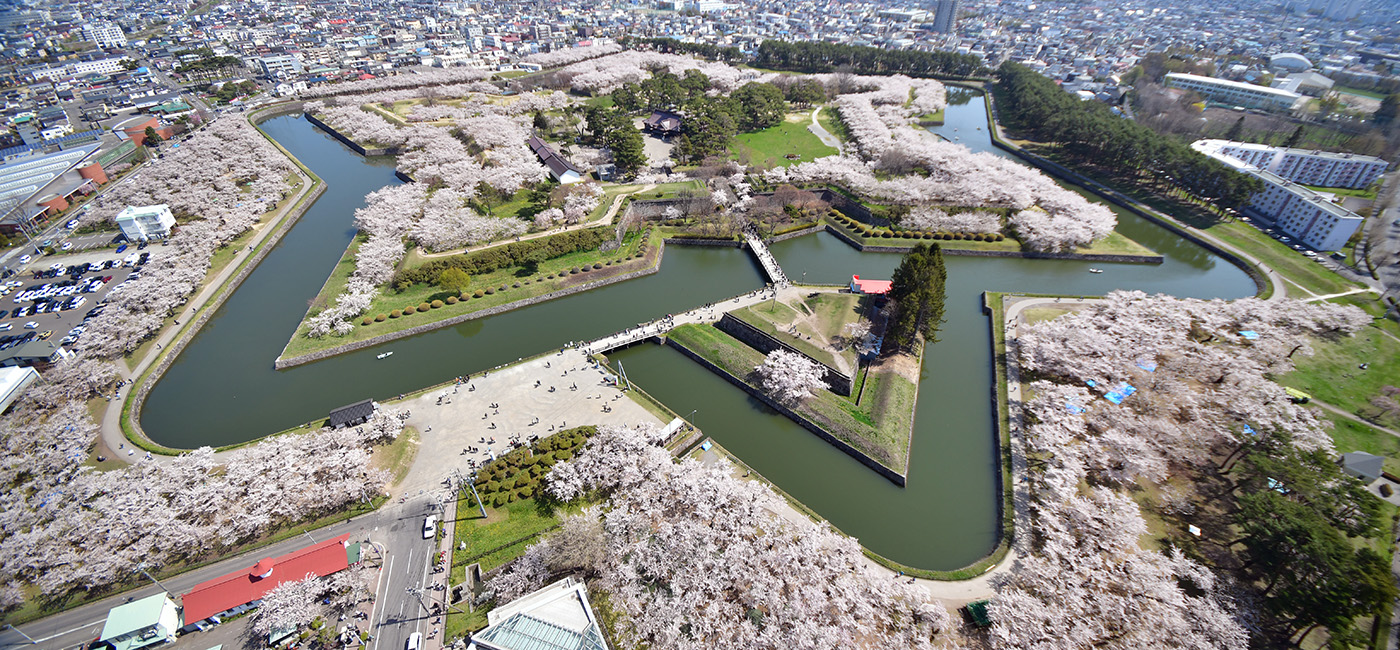 展望台から見た、特別史跡「五稜郭」