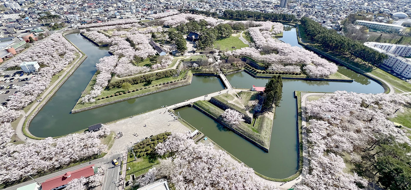 展望台から見た、特別史跡「五稜郭」