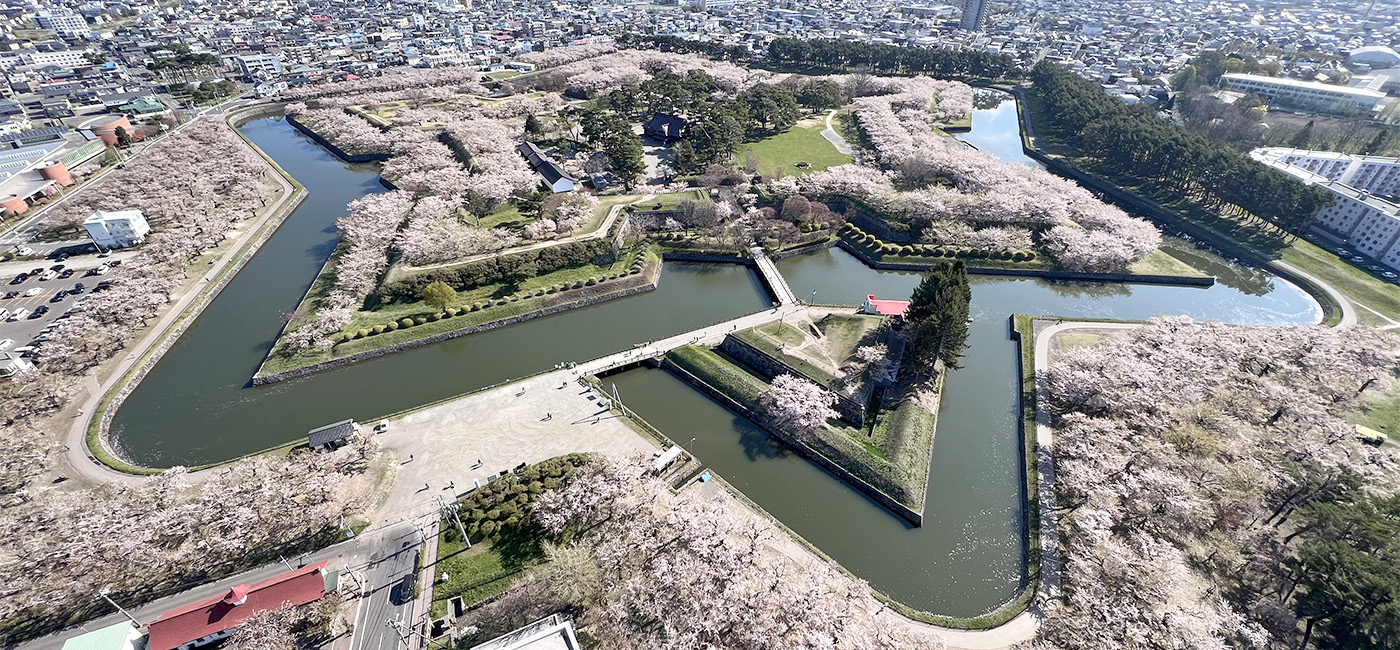 展望台から見た、特別史跡「五稜郭」